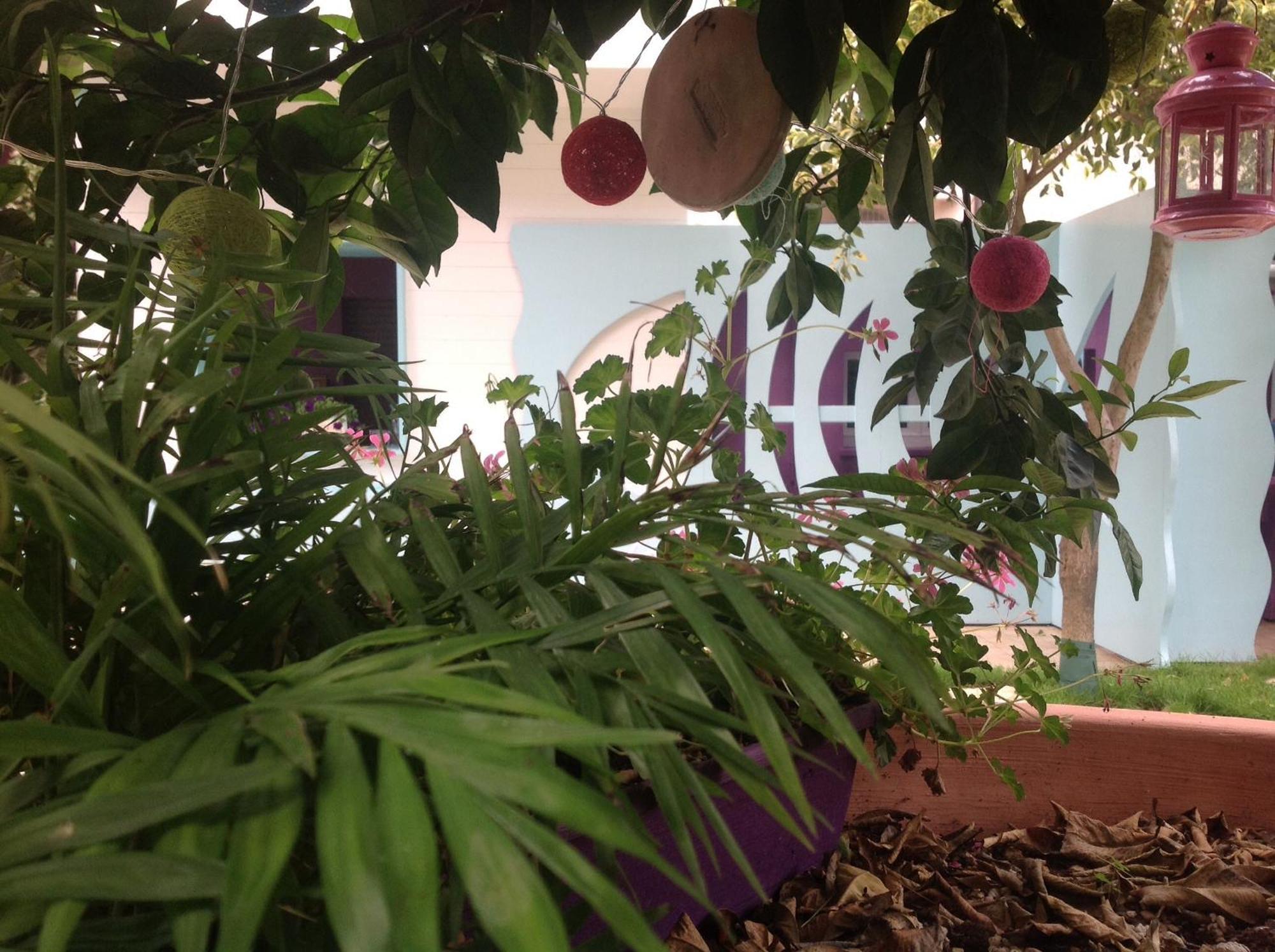 A Casa Di Lolu Bed & Breakfast Grottammare Exterior photo