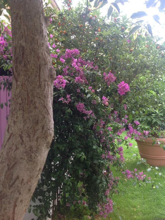 A Casa Di Lolu Bed & Breakfast Grottammare Exterior photo