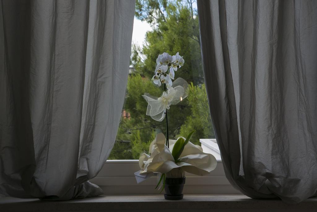 A Casa Di Lolu Bed & Breakfast Grottammare Exterior photo