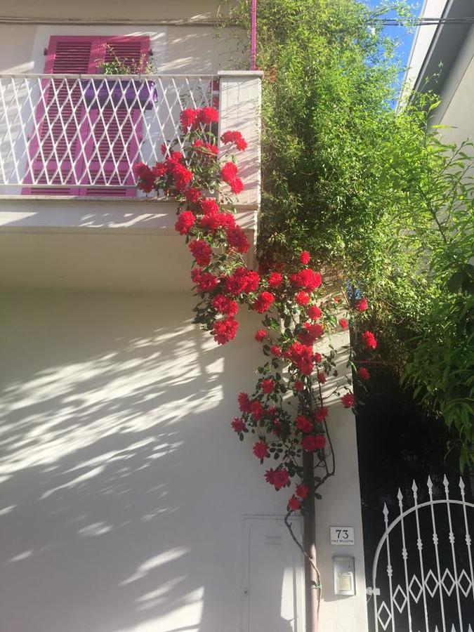 A Casa Di Lolu Bed & Breakfast Grottammare Exterior photo